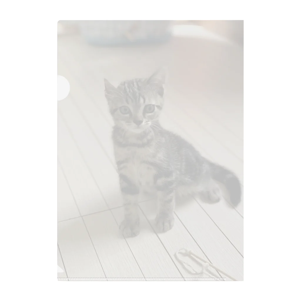 THE TASEKIのねこのニコ　そのさん Clear File Folder