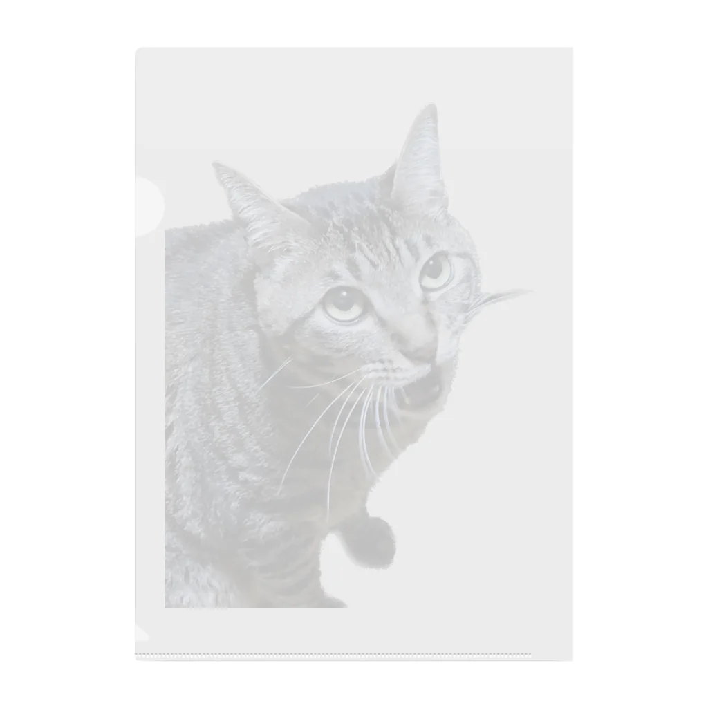 猫の人の半開き猫 Clear File Folder