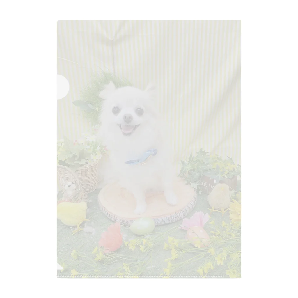 ももまゆ雑貨店のプル「HappyBirthday」 Clear File Folder