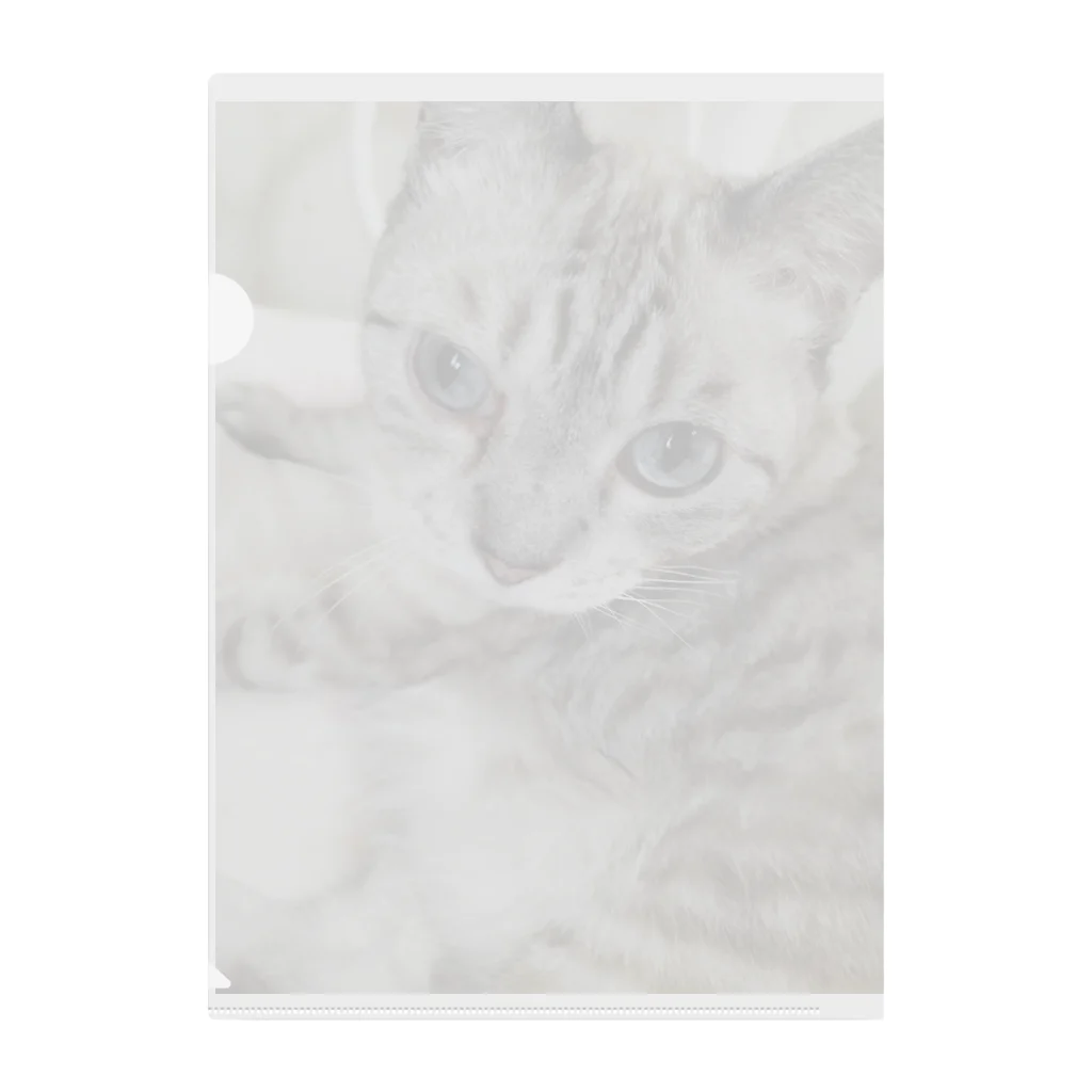 ねこの森でお散歩のフッワフワのシャムミックス Clear File Folder