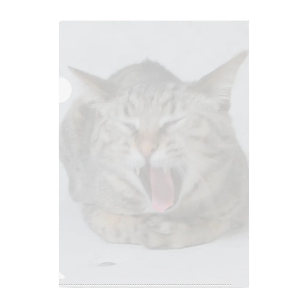 笑い猫堂SUZURI店の雉猫大欠伸 Clear File Folder