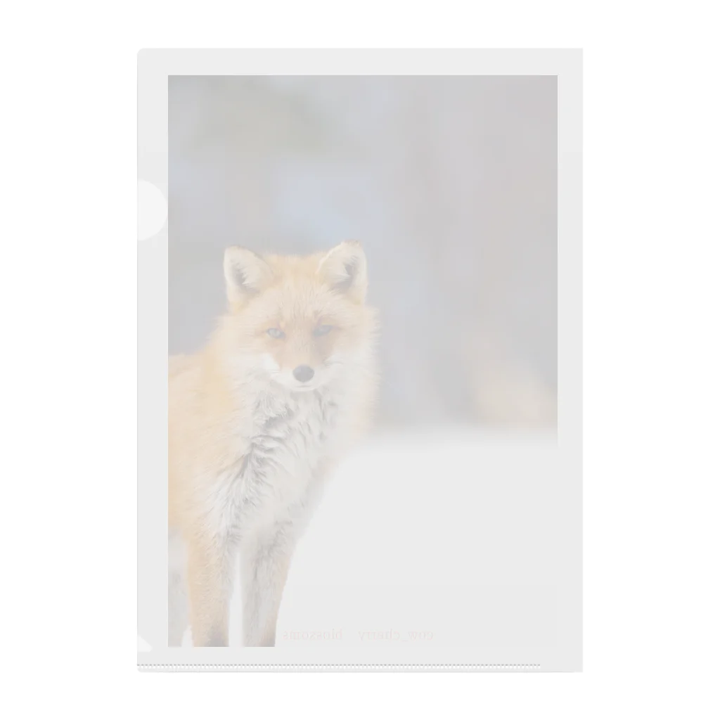 cow_cherry blossomsのNature of Hokkaido(Fox) 클리어파일