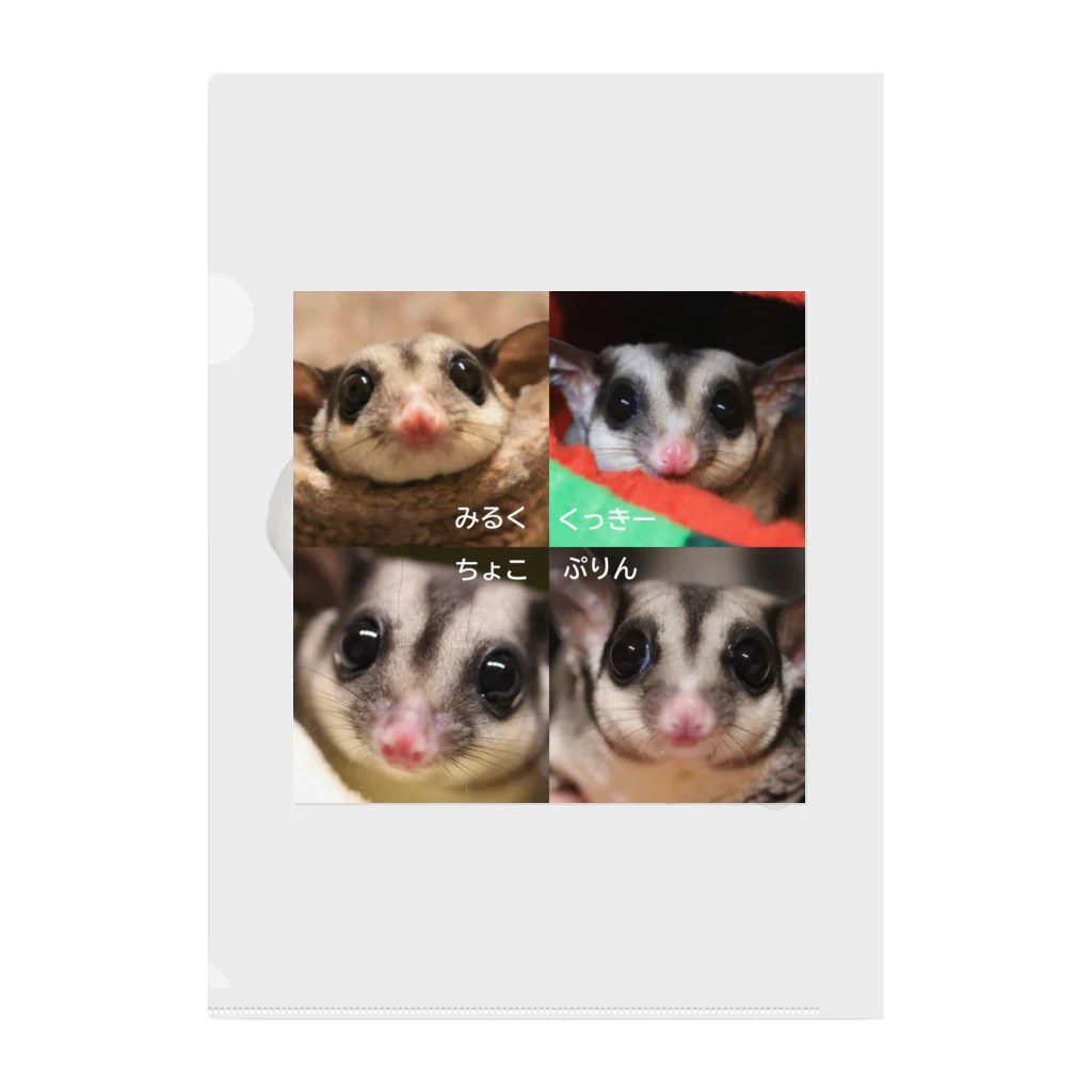 モモンガのしっぽの4 Sugar gliders! ver.3 Clear File Folder