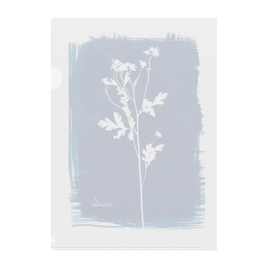 tocolierのCyanotype "matricaria" クリアファイル