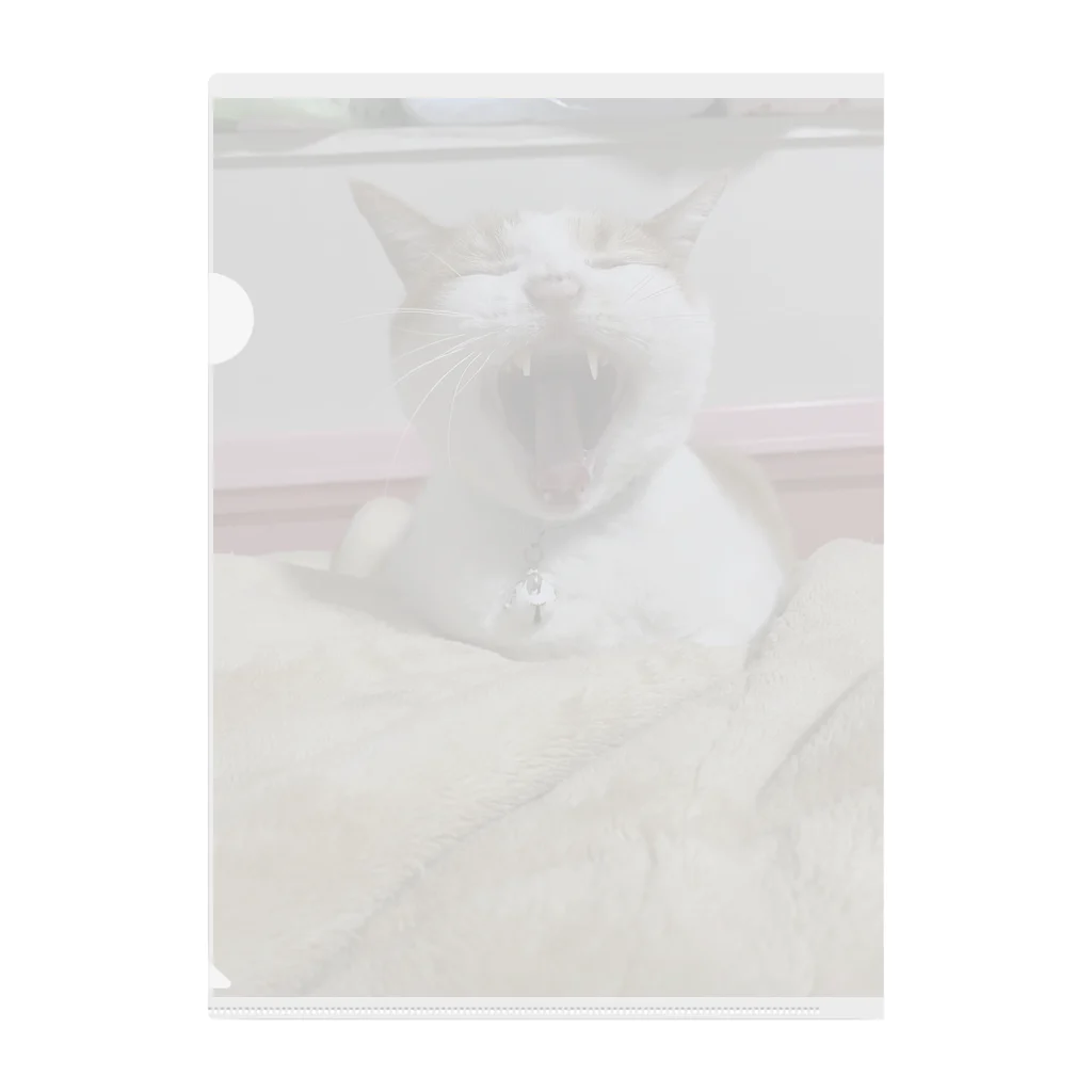 ツキコヨウのあくび猫 Clear File Folder