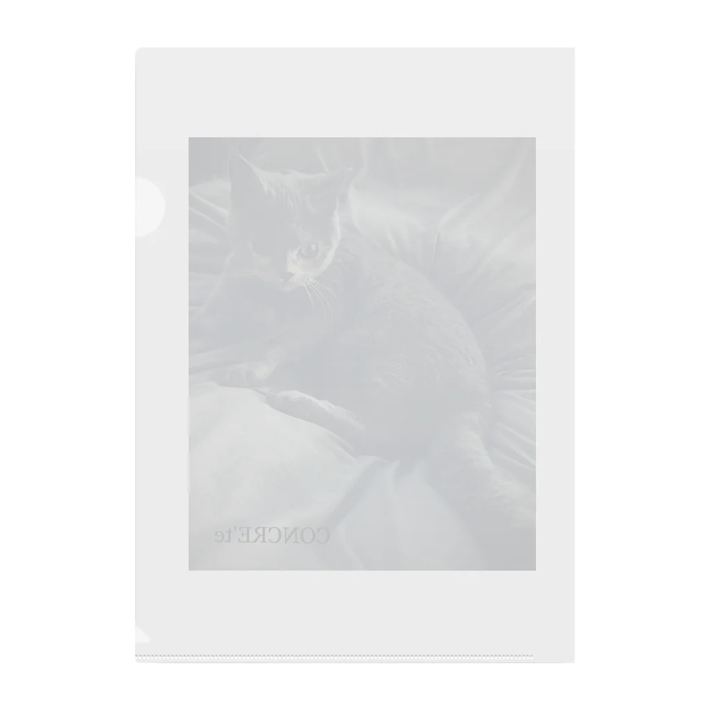 CONCREのCONCRE-1 Clear File Folder