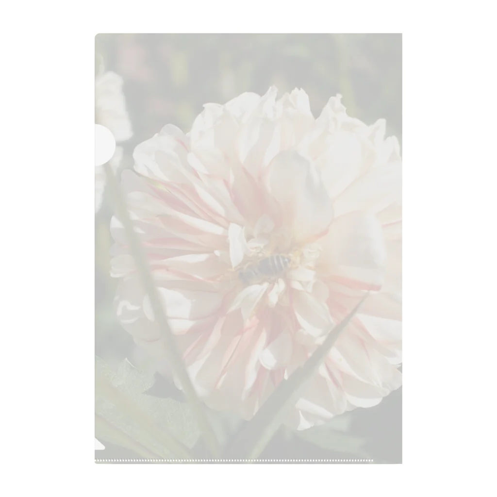 じょにーのflower white2 Clear File Folder