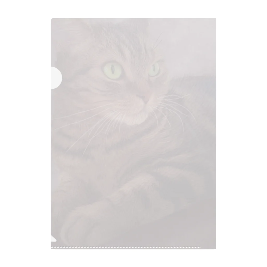 MUYU /  Animal ArtistのMemories with my pet ３ Clear File Folder