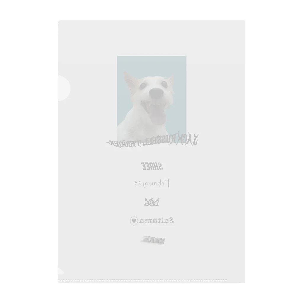 MADE IN OBYSSのdog Clear File Folder