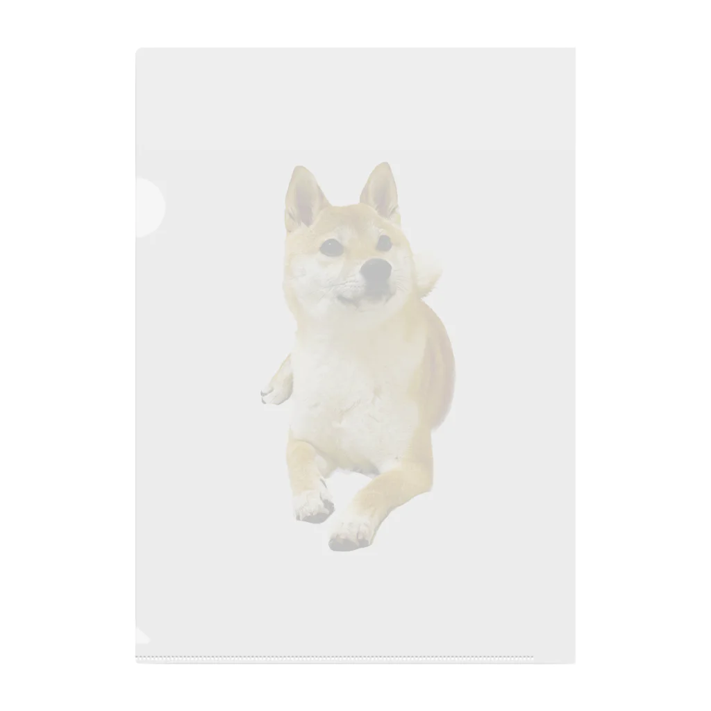 柴犬おかゆのグッズ販売店の柴犬おかゆ Clear File Folder