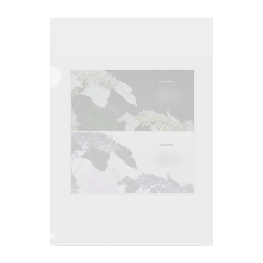 蛍石のhydrangeas Clear File Folder