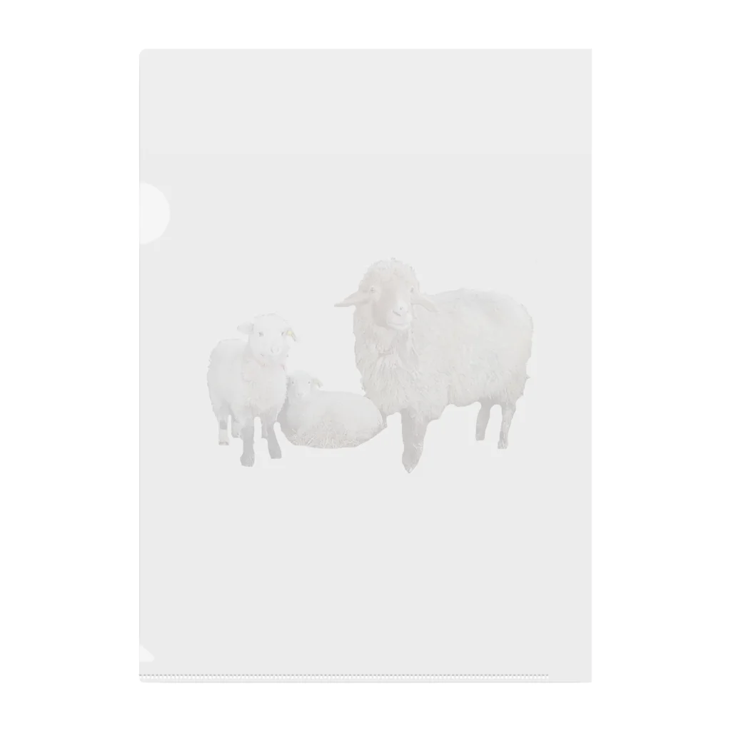 旅するナースの仔羊ルミ子 Clear File Folder
