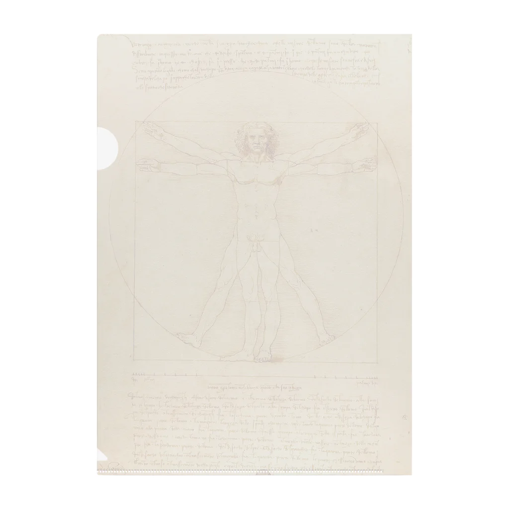 世界美術商店のウィトルウィウス的人体図 / Vitruvian Man クリアファイル