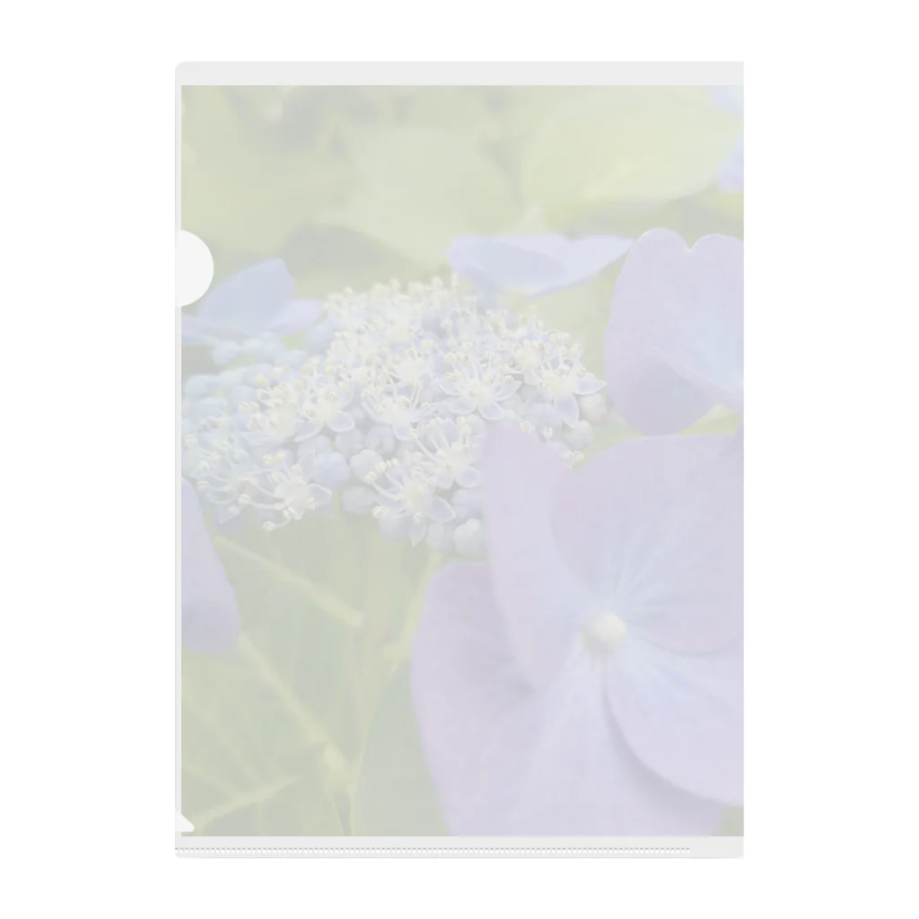 チエソーの紫陽花 クリアファイル