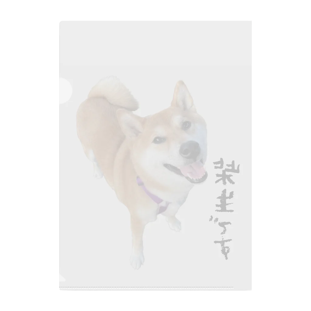 SHIBAOOOOOの柴生です クリアファイル