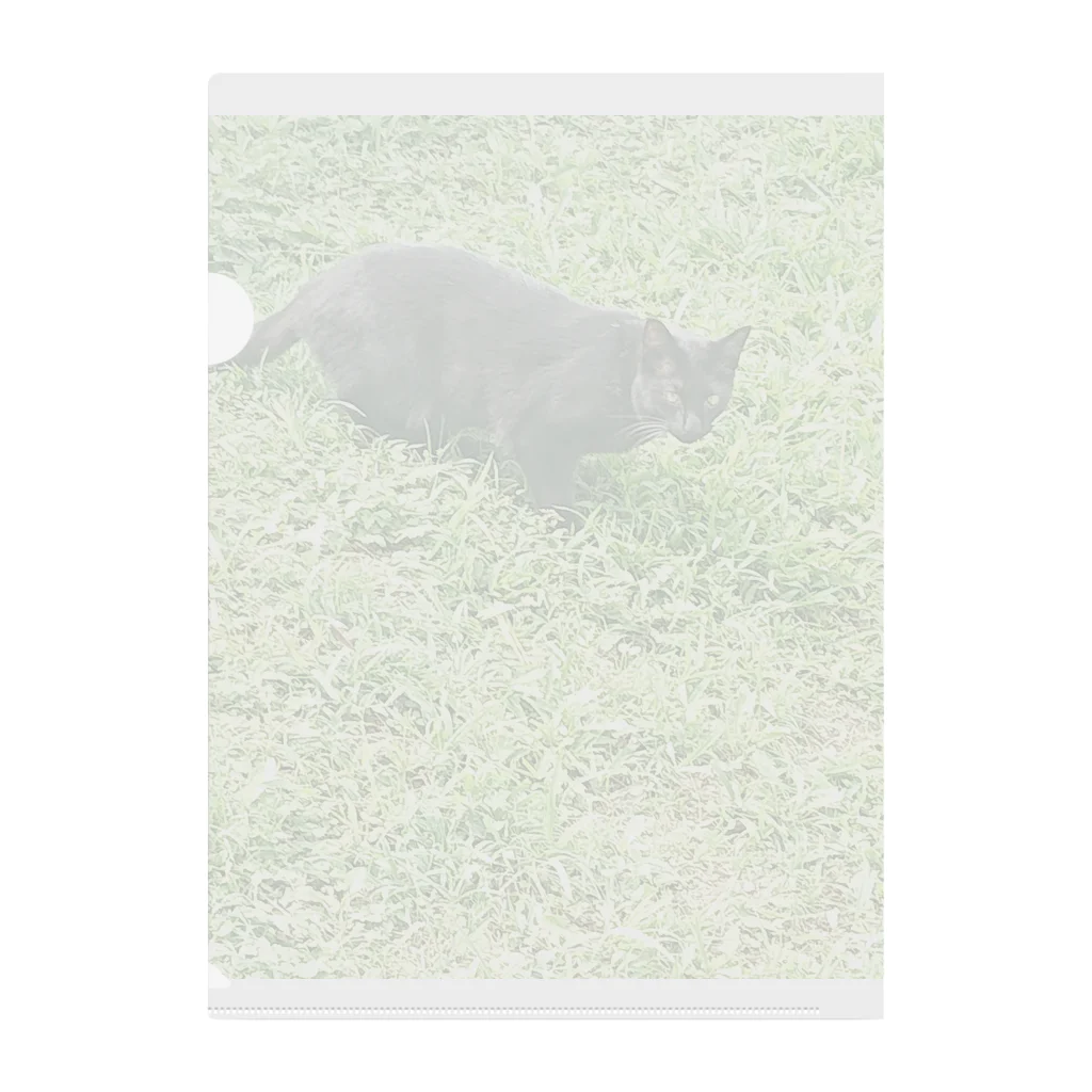 天光のねこ部屋の黒猫カカオの庭 Clear File Folder