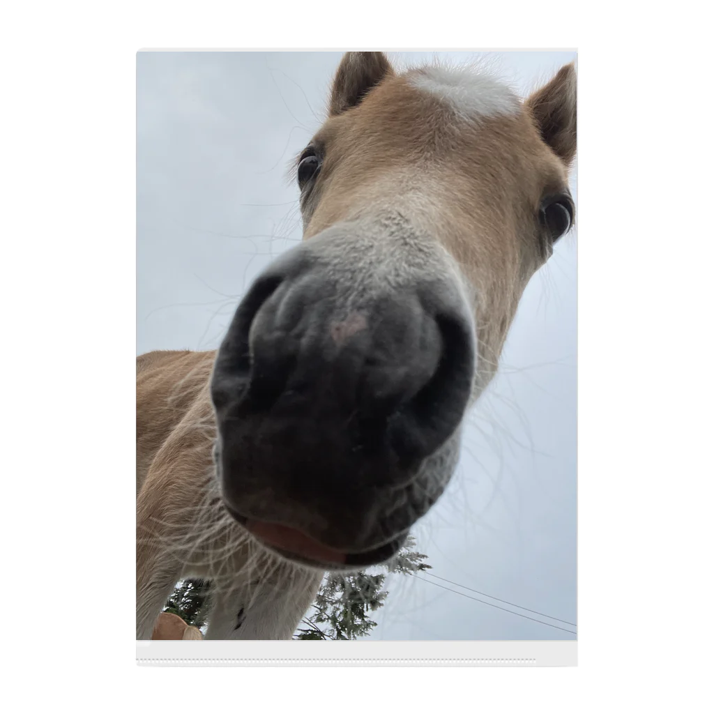 小さなお馬さんのお店の赤ちゃんポニーのルーチェ クリアファイル