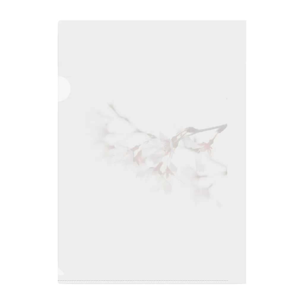zzmatsudaの春の訪れを告げる美しい桜の花びら クリアファイル