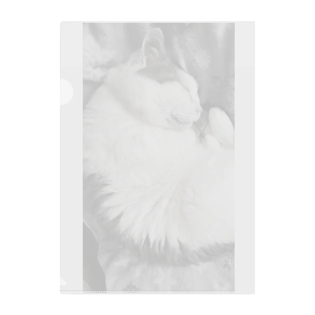 KAZU SHOPの可愛い猫のお昼寝　癒し クリアファイル