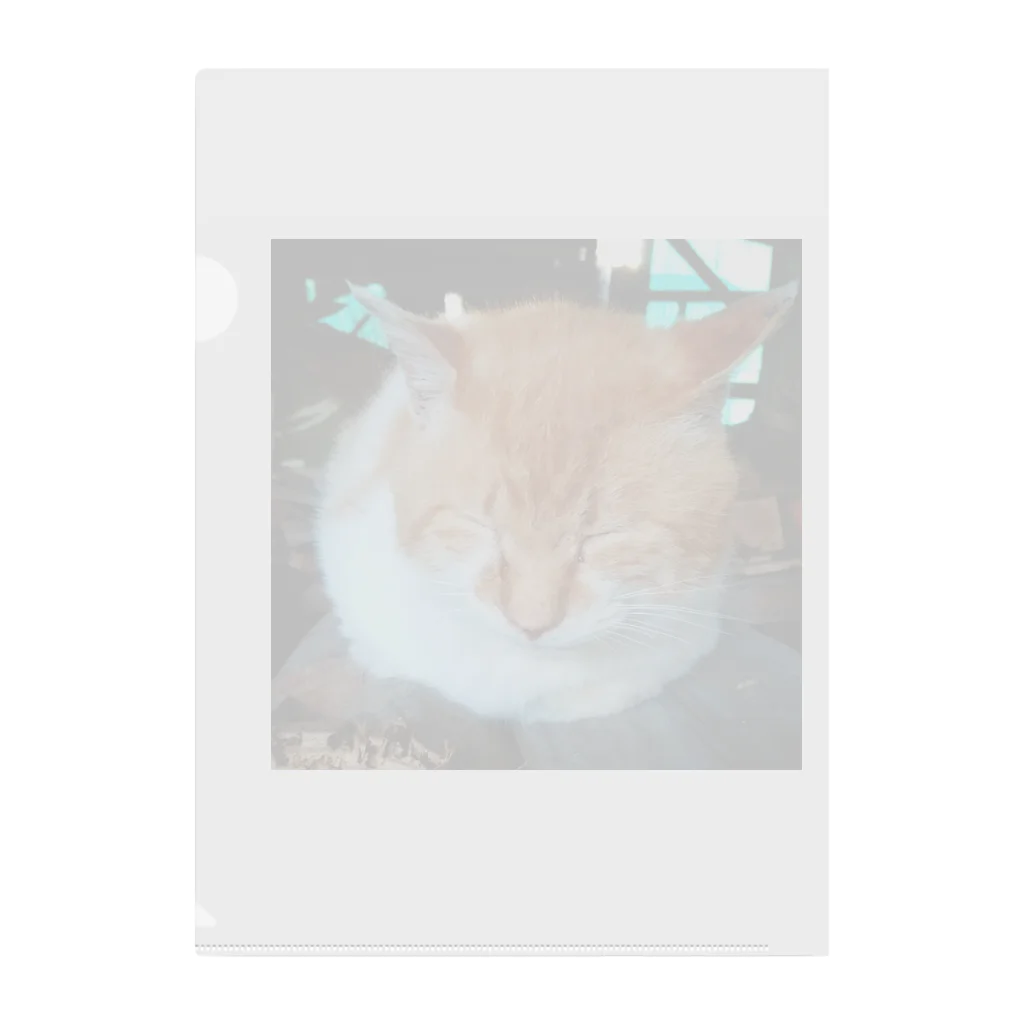 K39SHOPの先輩猫 茶太郎 Clear File Folder