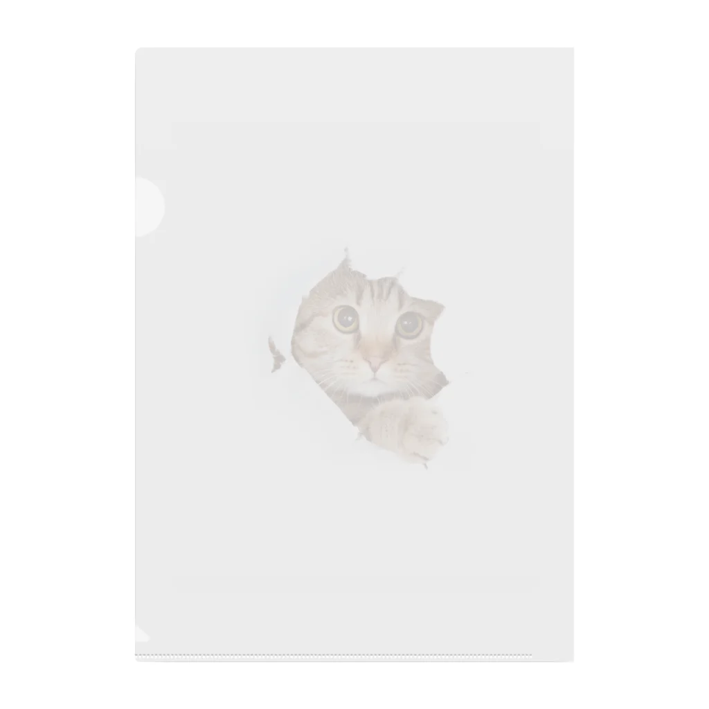 ただの猫好きのWhite Free Cute Funny Cat T-shirt Clear File Folder