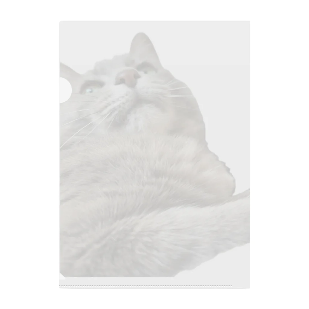 グレージュ猫ロッタン🐈‍⬛のよそ見ロッタン Clear File Folder