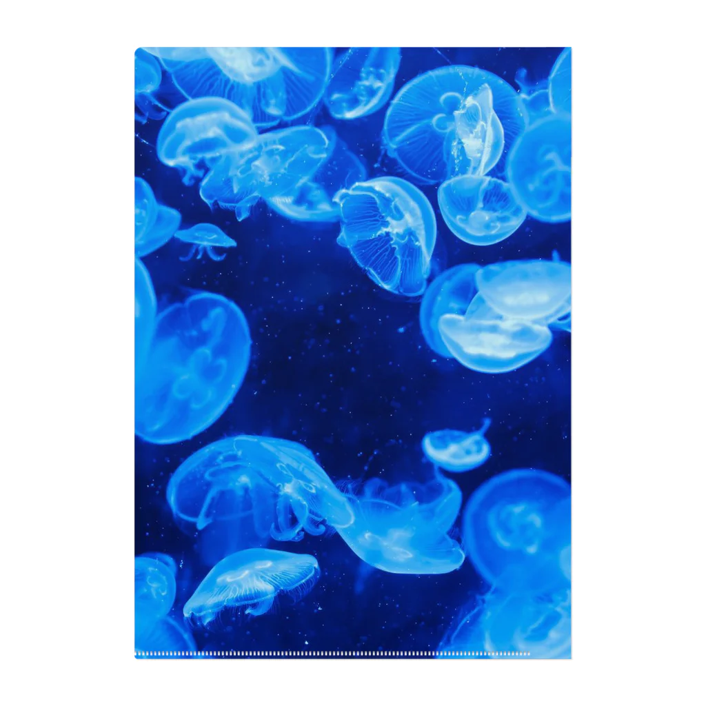 KAOKAOのJellyfish=海月 Clear File Folder