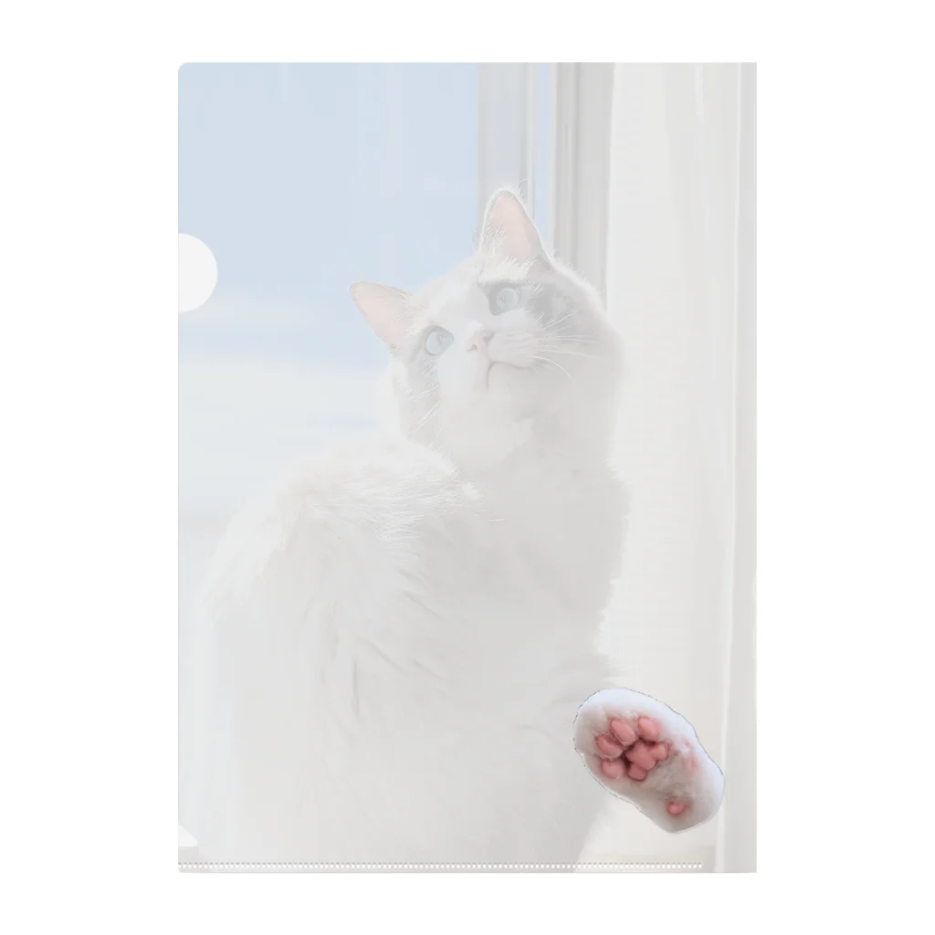 nachiのおうちの青空とねこ Clear File Folder