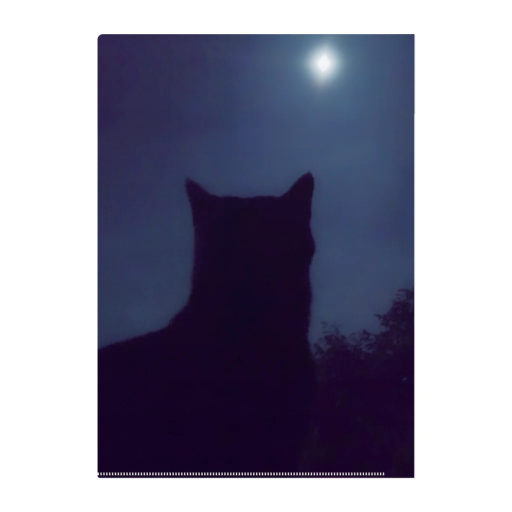 znd__の猫と月。 クリアファイル