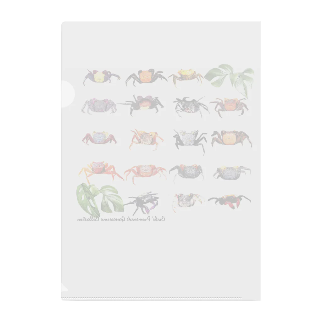 Crabs' Promenade カニの散歩道のCrabs' Promenade Geosesarma Collection Clear File Folder