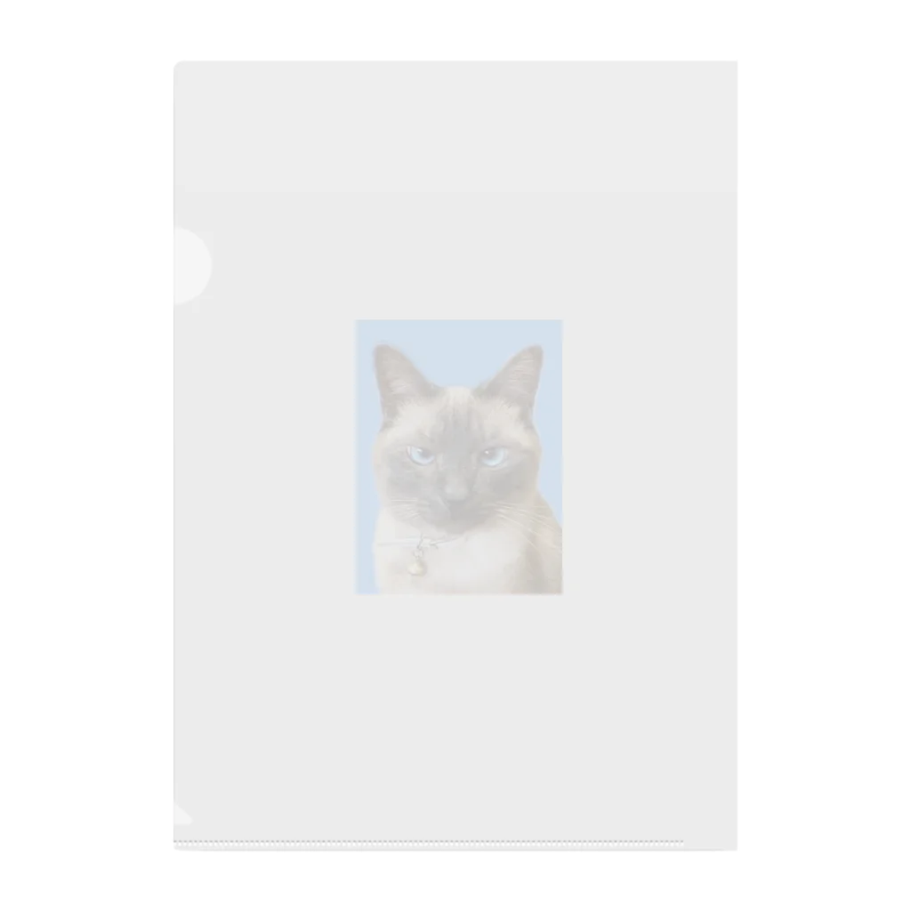 Earl_grey_31のシャム猫の証明写真 クリアファイル