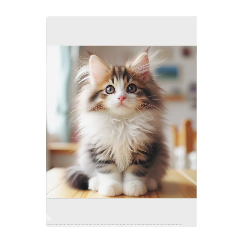 Creation CATのゴージャスCAT Clear File Folder