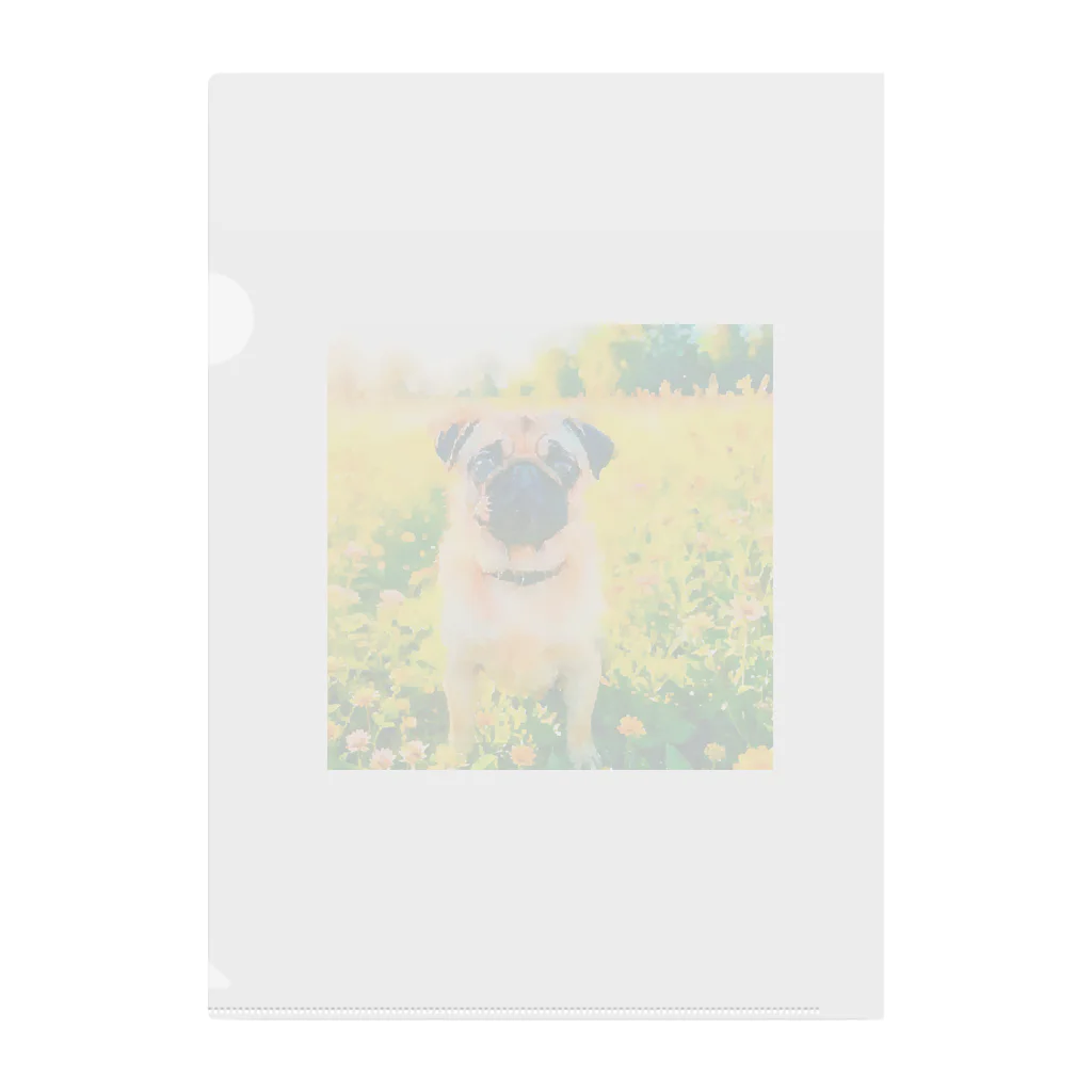 犬好きのしましまの水彩画の犬 花畑のパグのイラスト クリアファイル