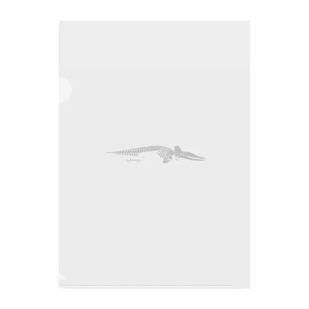 ayunksyのマッコウクジラの標本 Clear File Folder