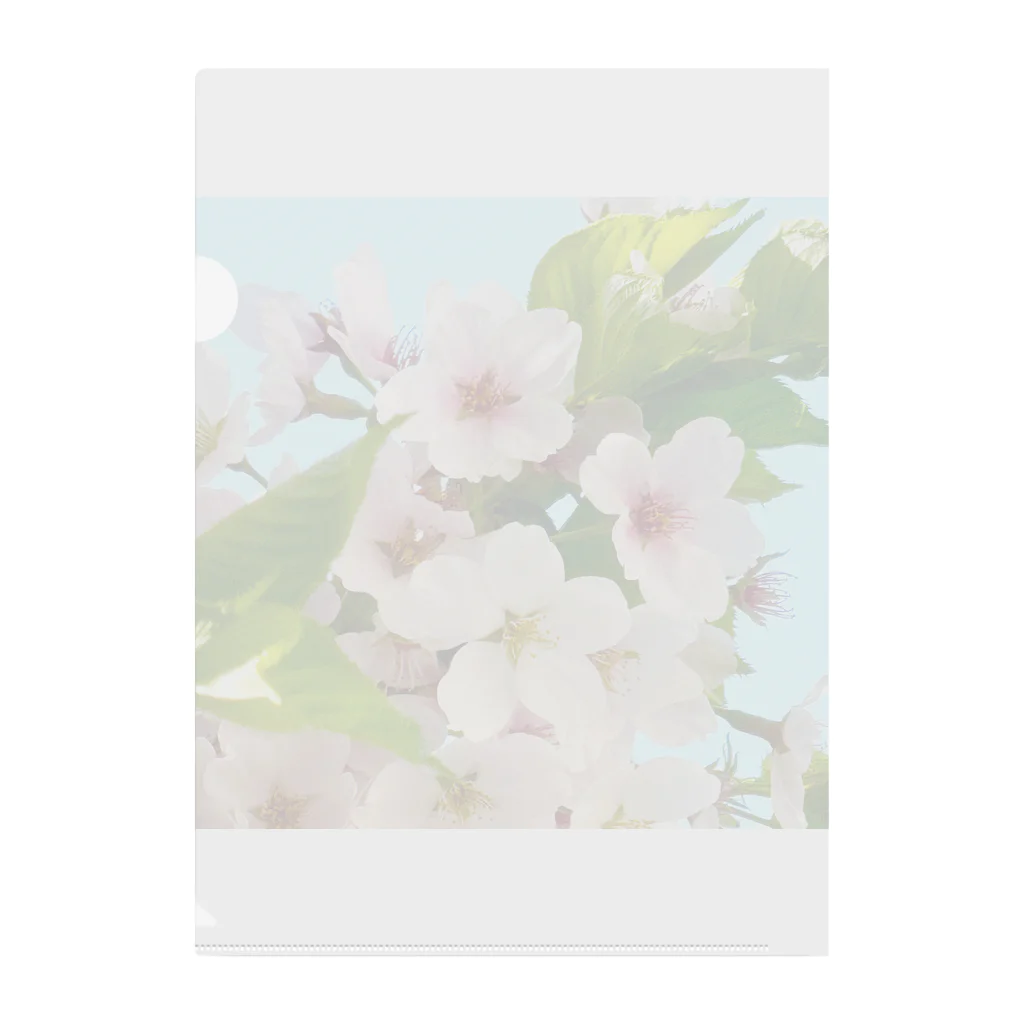 atelier_lapislazuliの桜 Clear File Folder