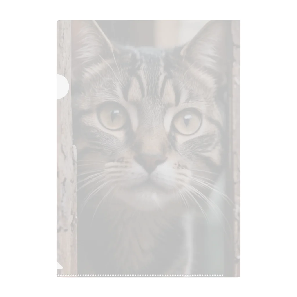 ねこネコちゃんのねこネコちゃん Clear File Folder