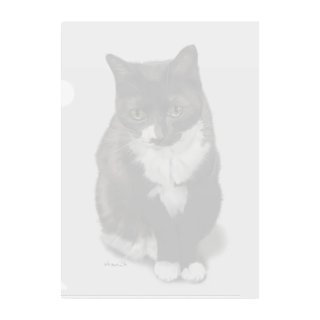 kinako-japanのくつした猫のくろみつ Clear File Folder