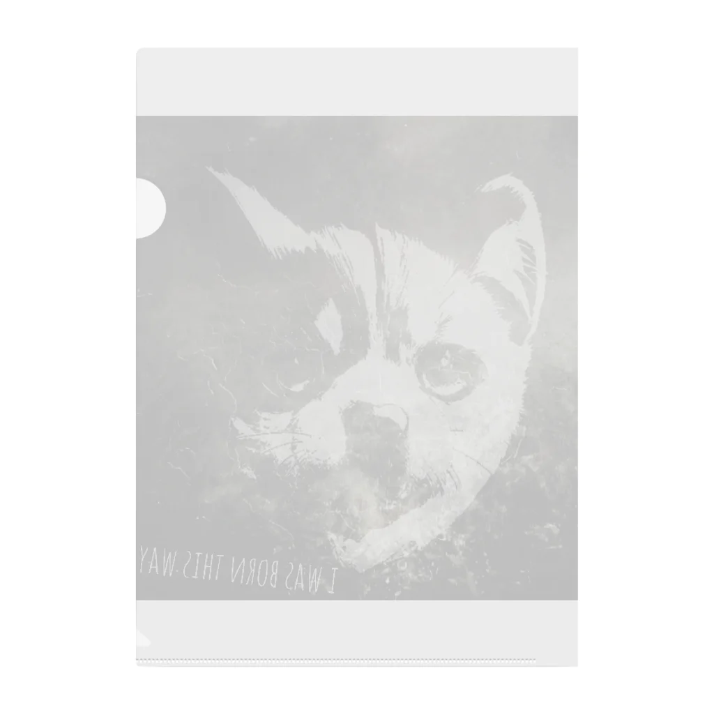 D7C7DC?B1のdog?cat? Clear File Folder