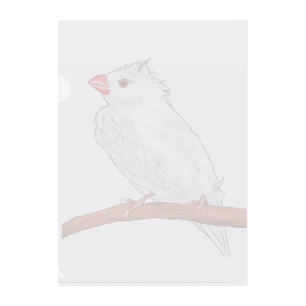 Lily bird（リリーバード）の水浴び文鳥 カラー Clear File Folder