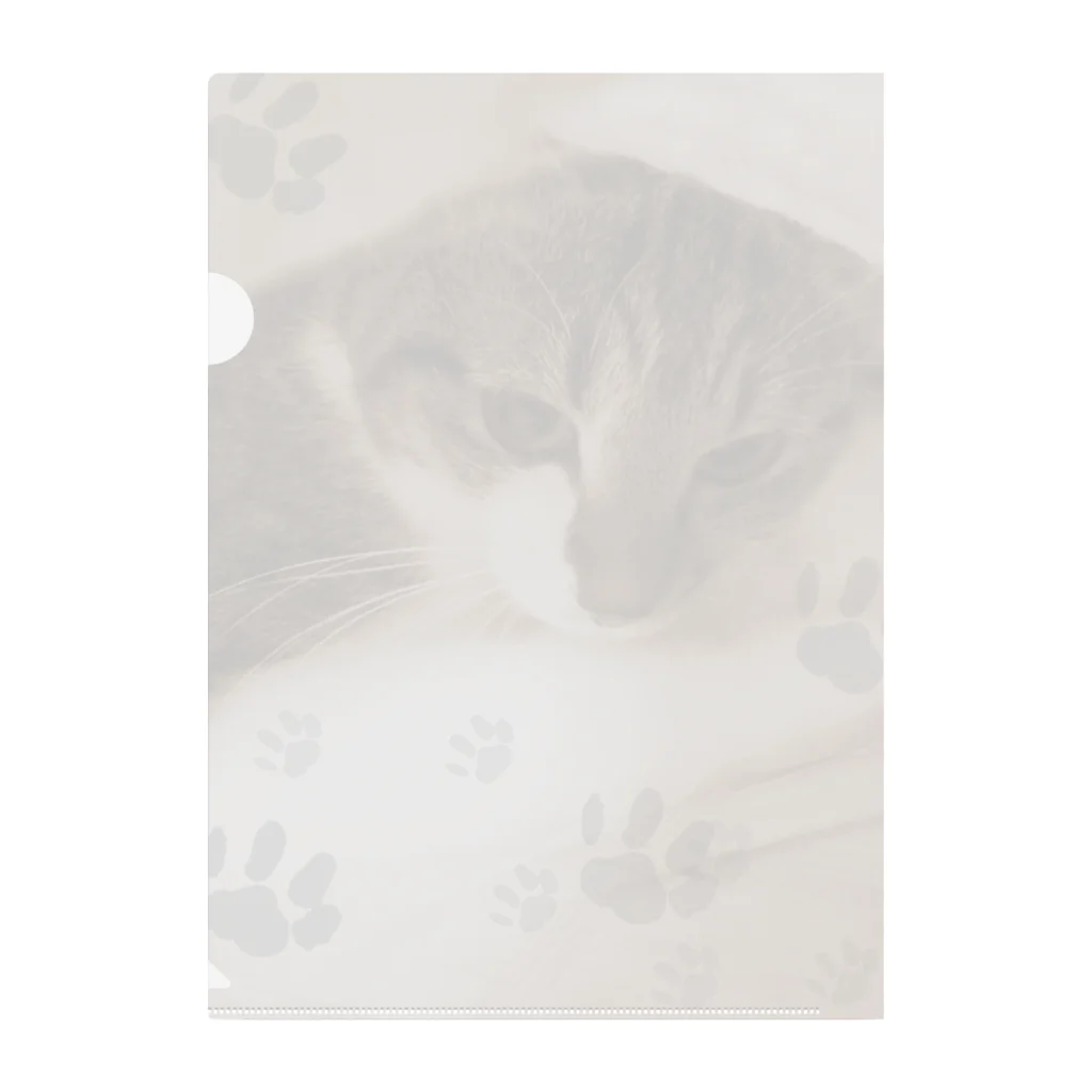 ねこ屋にこ日和の思い出1 Clear File Folder