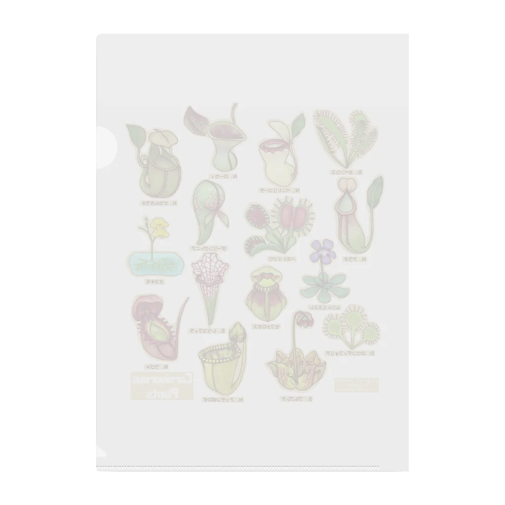 すとろべりーガムFactoryの食虫植物図鑑 Clear File Folder