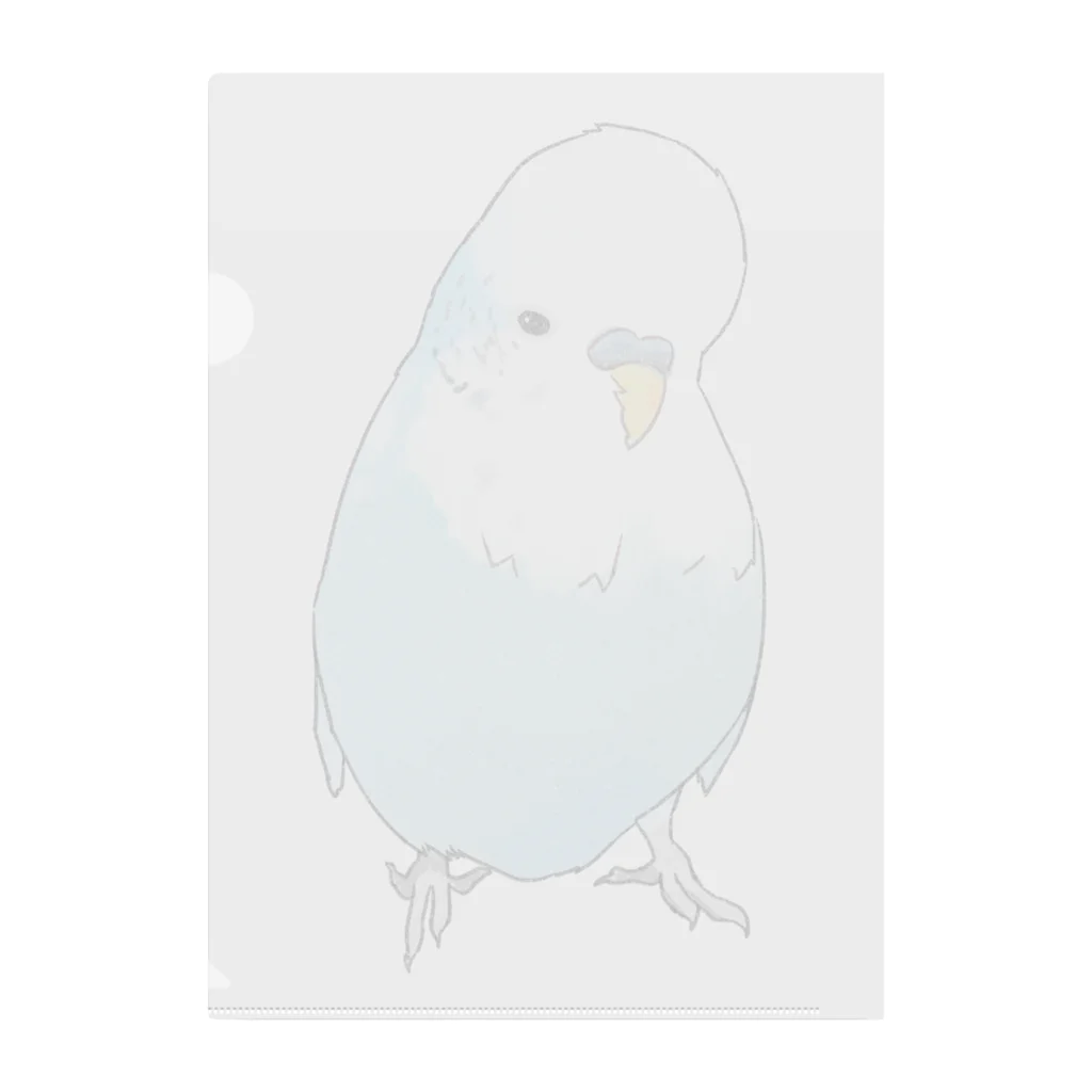 まめるりはことりの可愛いジャンボセキセイインコ【まめるりはことり】 Clear File Folder