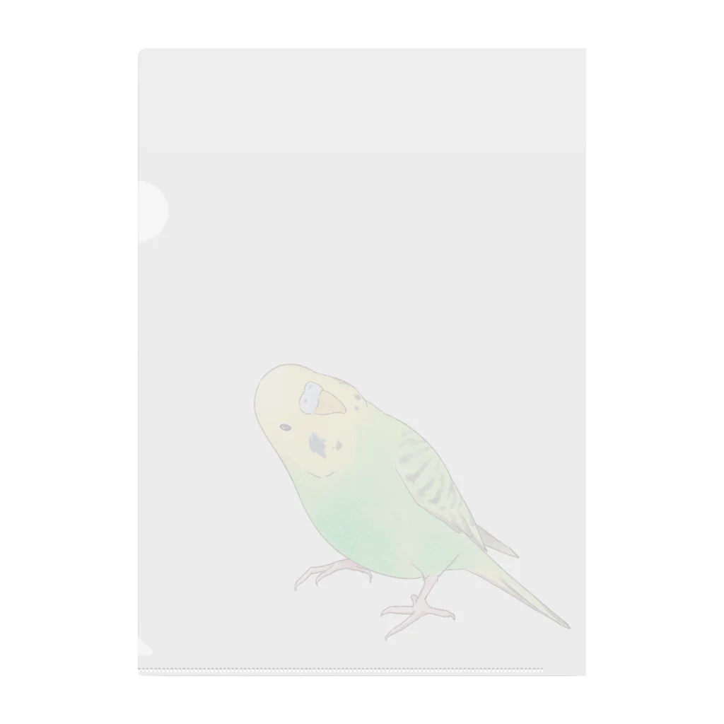 まめるりはことりの首傾げセキセイインコ　ピーちゃん【まめるりはことり】 Clear File Folder