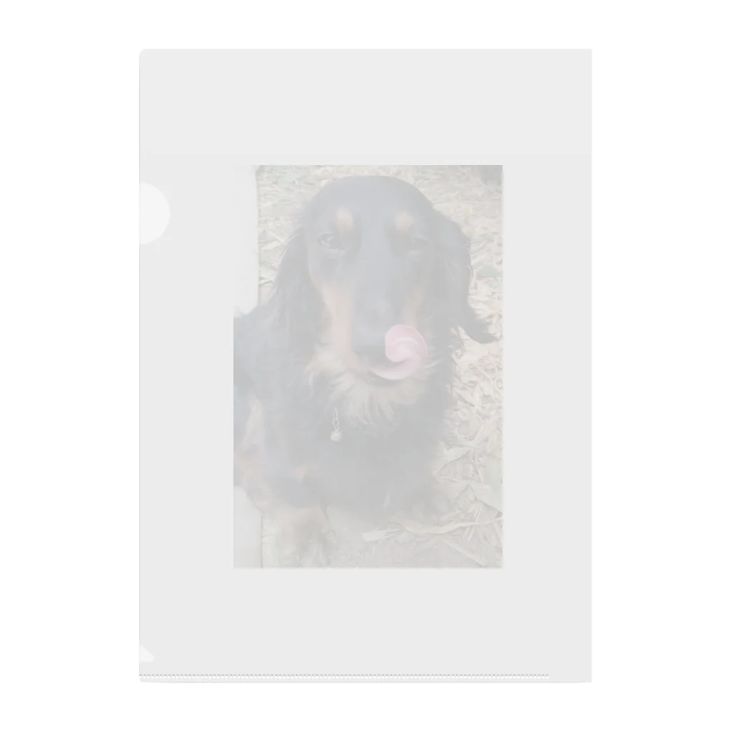 ruby mini moonのdog Clear File Folder