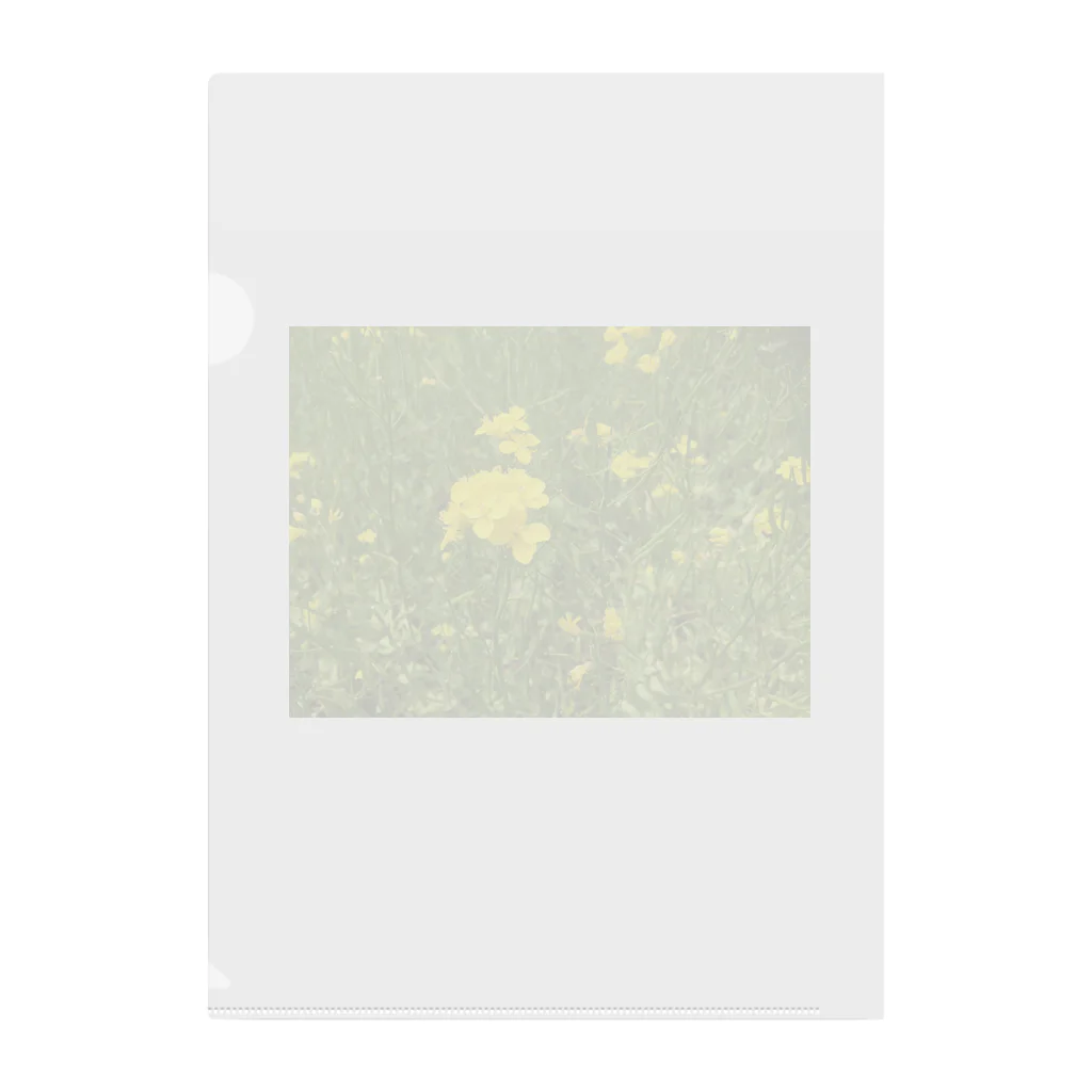 Studio  BLUEのFlowers Clear File Folder