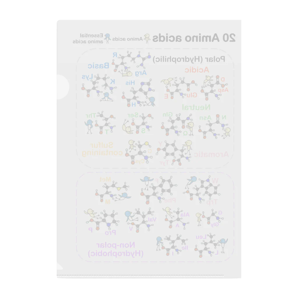 みずしまワークスの20アミノ酸ぴよ(背景透明) クリアファイル