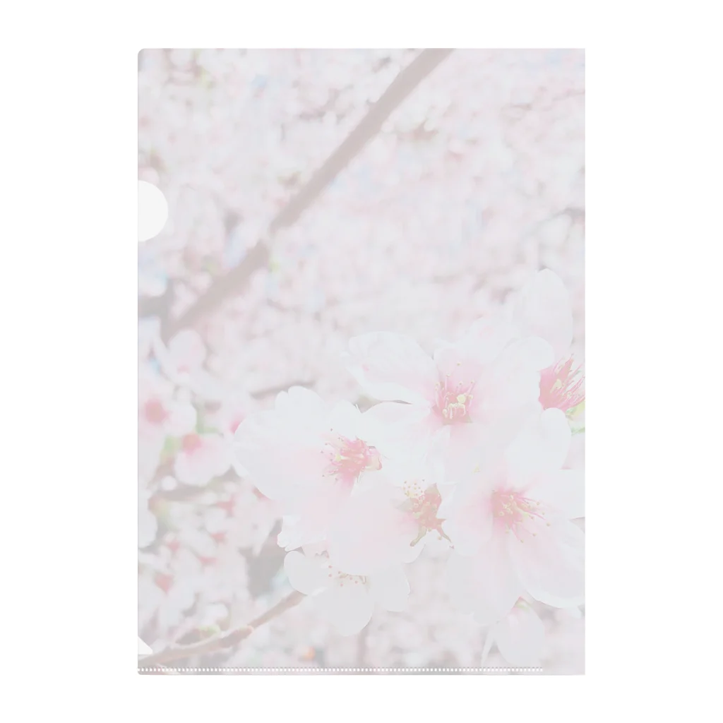 Yu-yuのさくら桜🌸 クリアファイル