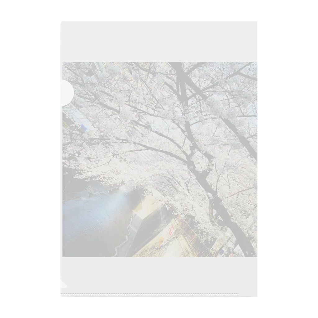 ppmの桜 クリアファイル
