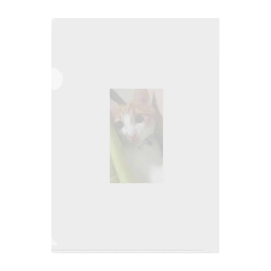 むむ😸🍈(mumu)グッズの茶白猫むむ クリアファイル
