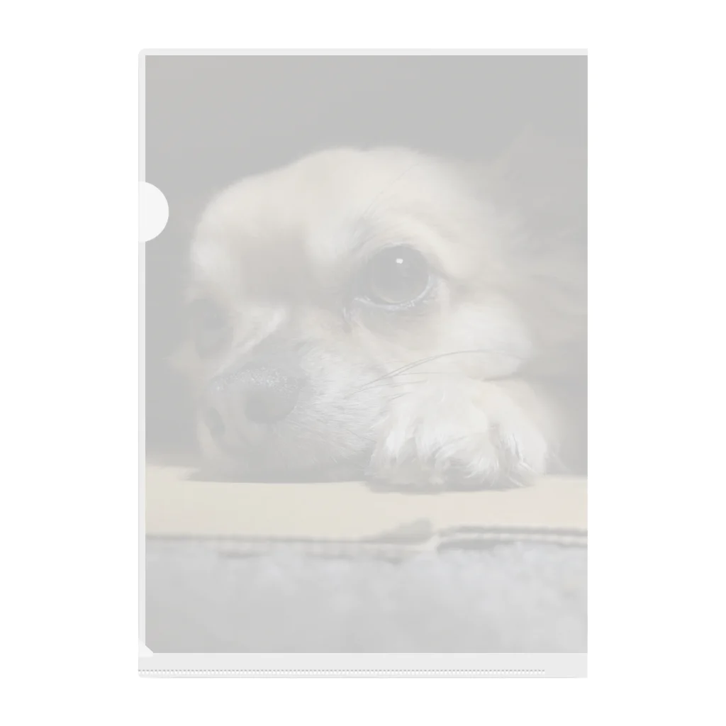 fawntokinakoのファイル:ふぉーん Clear File Folder